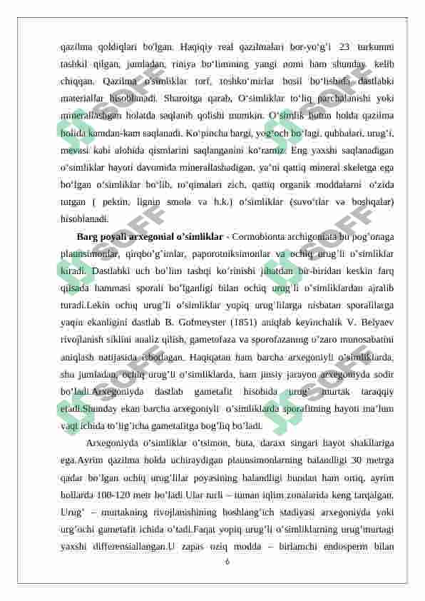 Preview 6