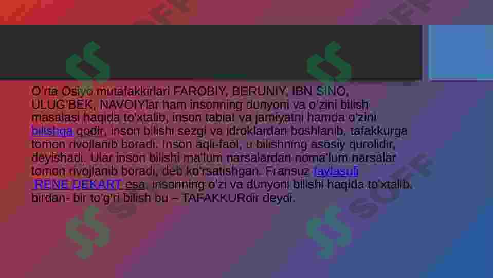 Preview 6