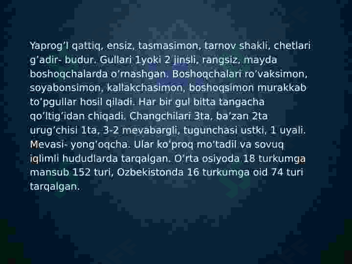 Preview 6