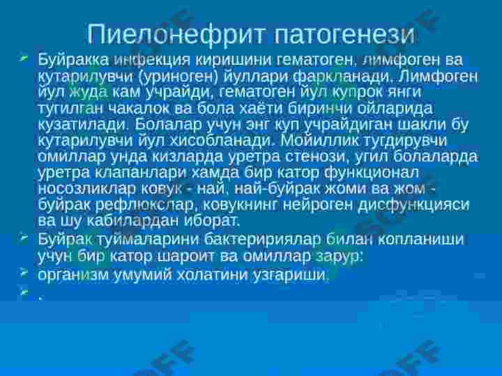 Preview 7