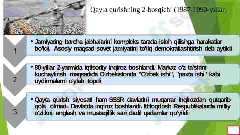 Preview 7