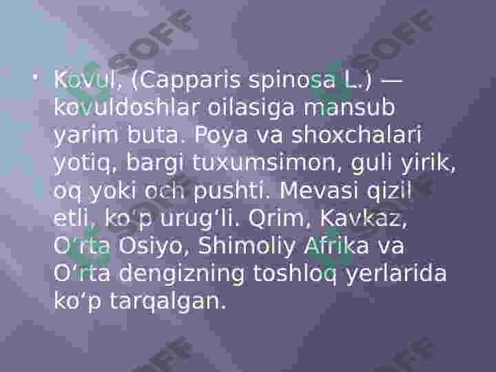 Preview 7