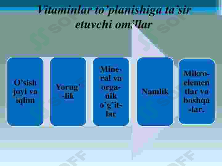 Preview 8