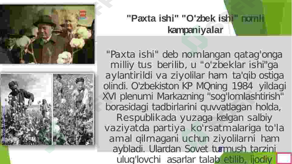 Preview 8