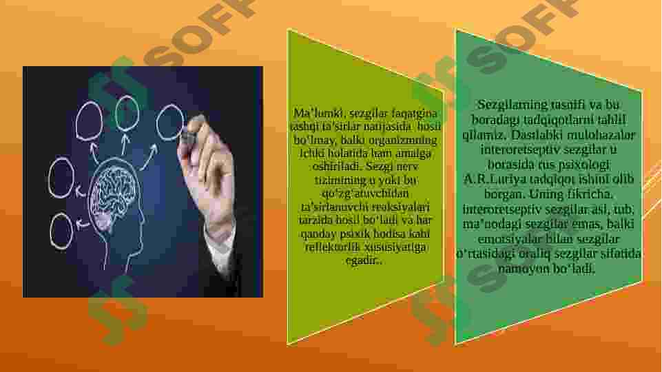 Preview 8