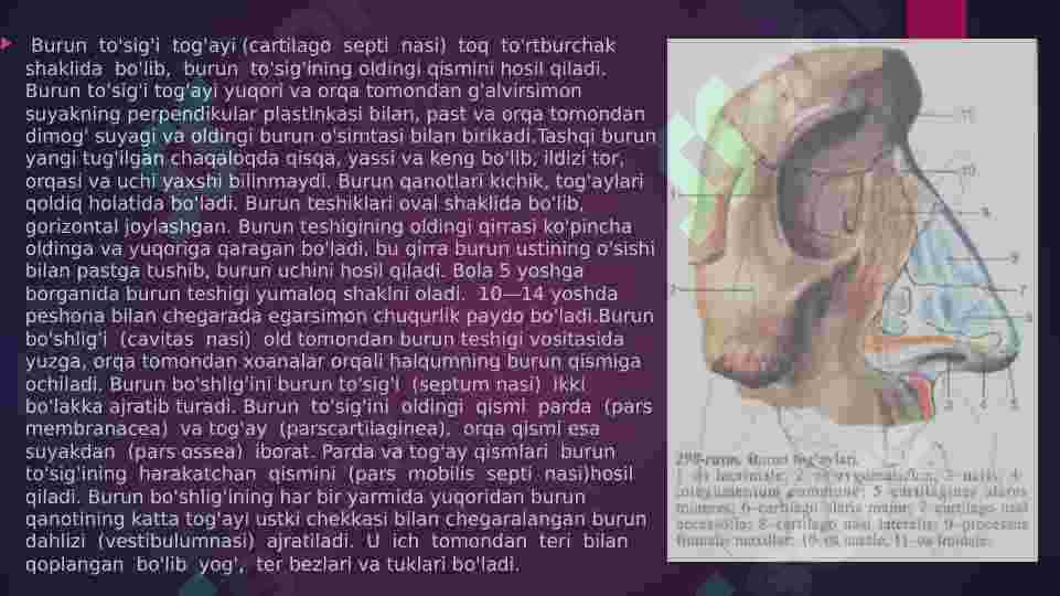 Preview 8