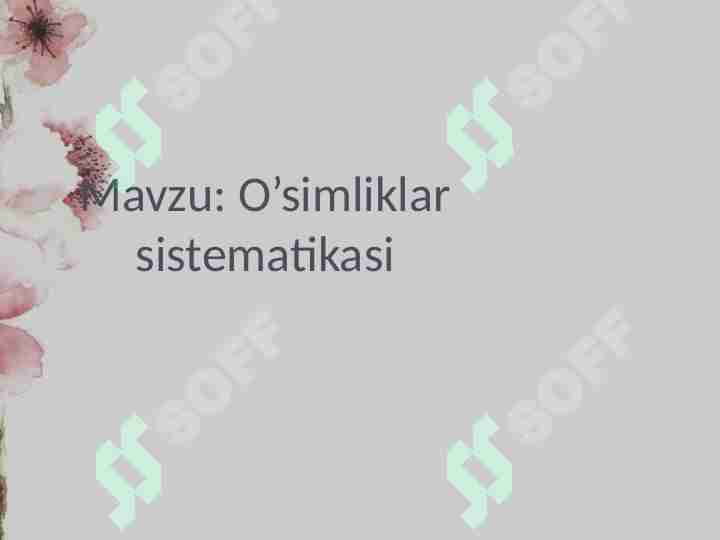 Preview 1