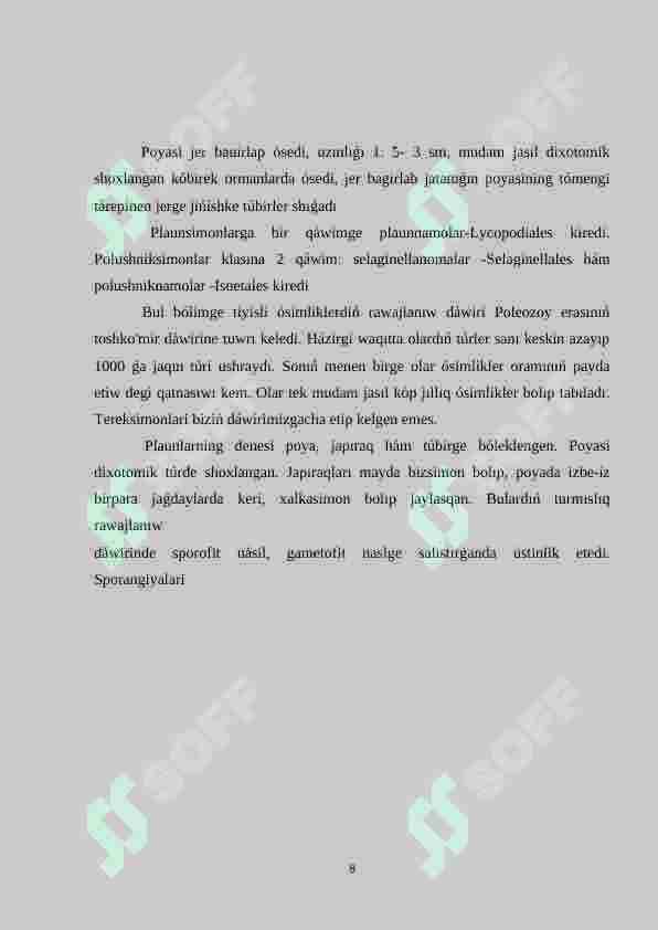 Preview 8