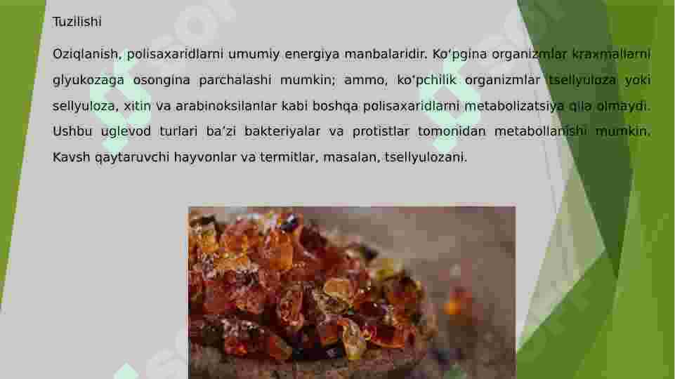 Preview 8