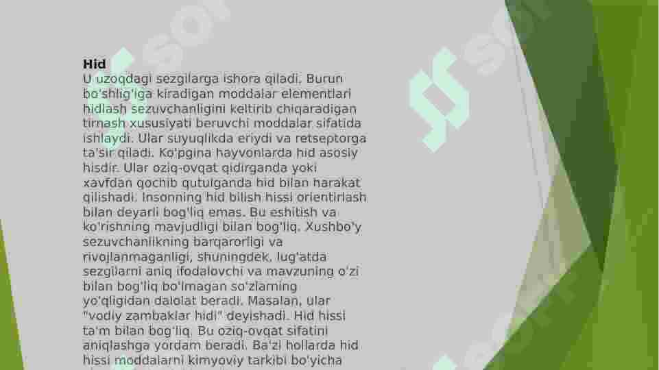 Preview 8