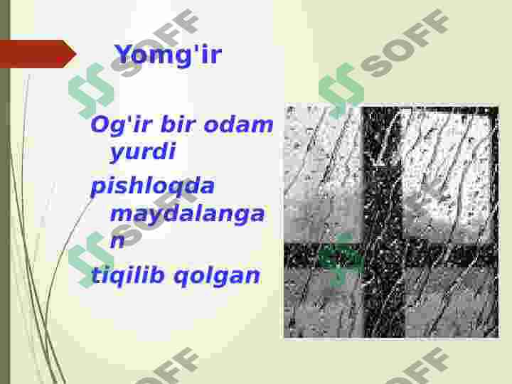 Preview 6