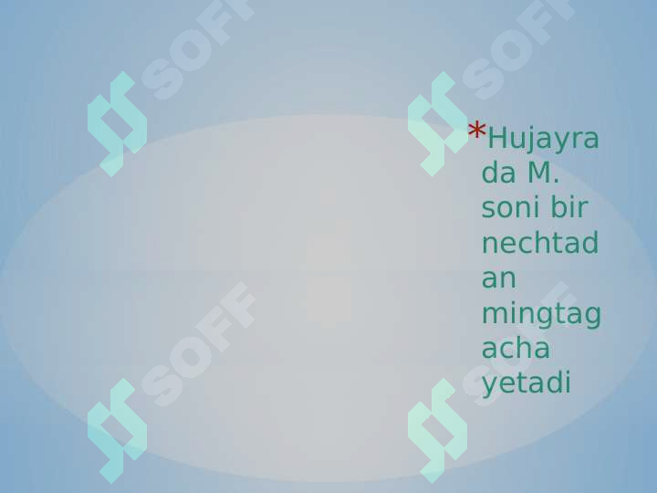 Preview 5