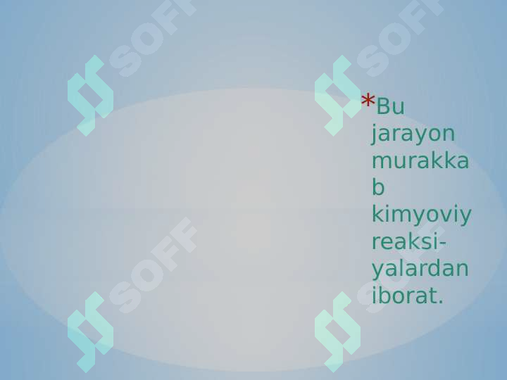 Preview 8