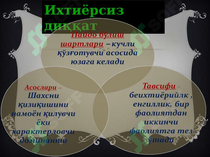 Preview 8