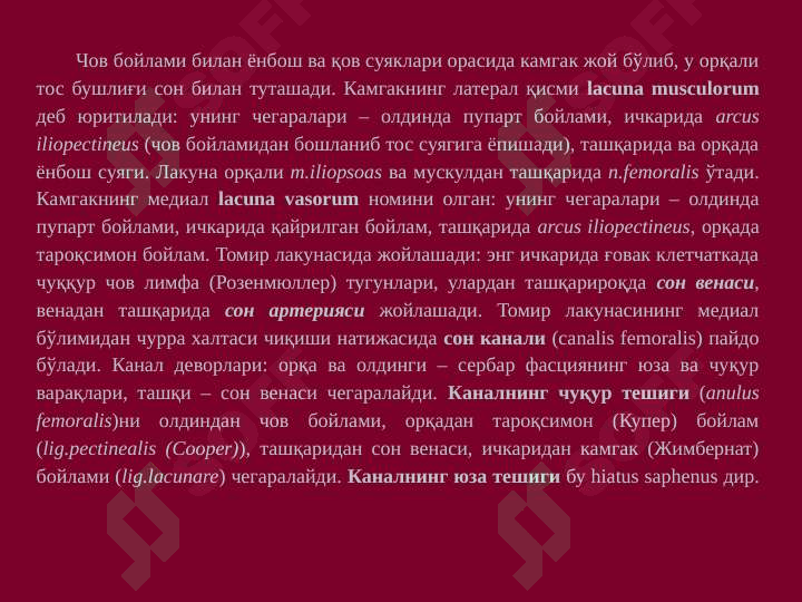 Preview 7