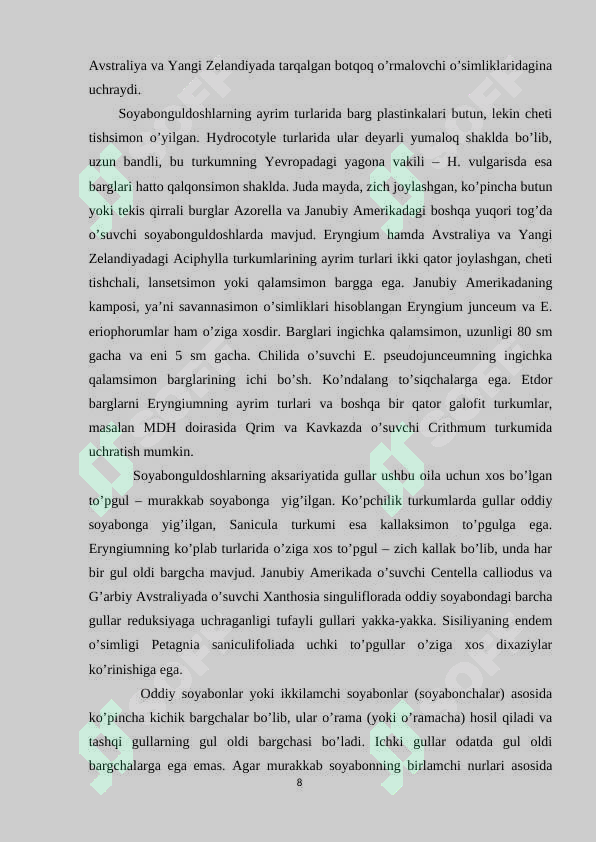 Preview 8