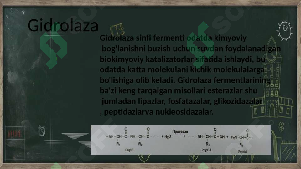 Preview 6