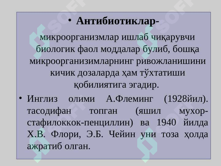 Preview 6