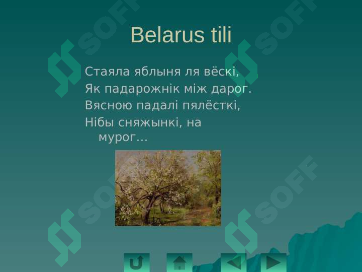 Preview 8
