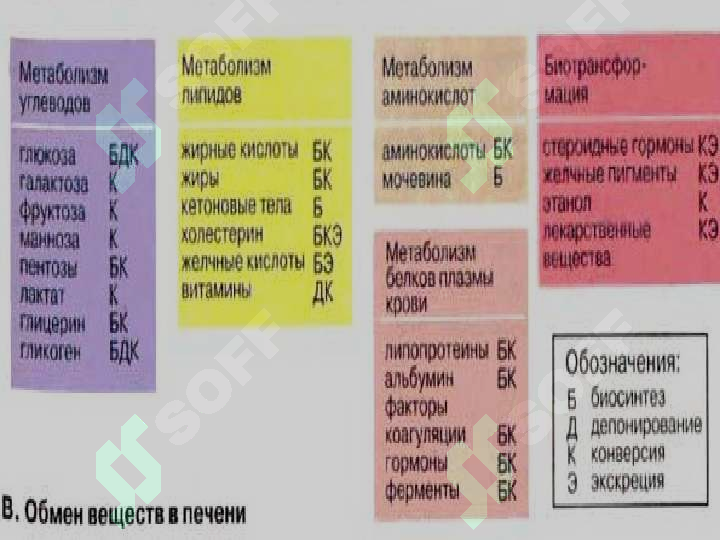 Preview 7