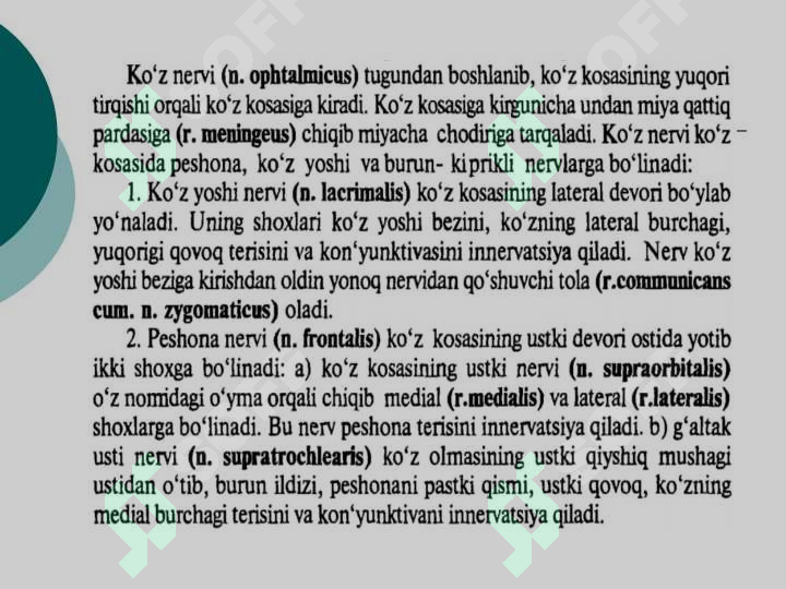 Preview 5
