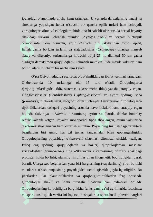 Preview 7