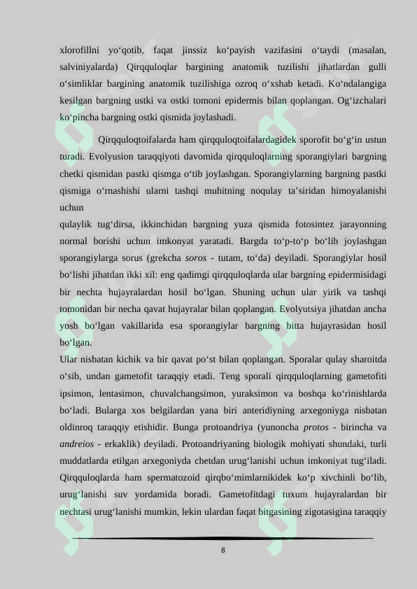 Preview 8
