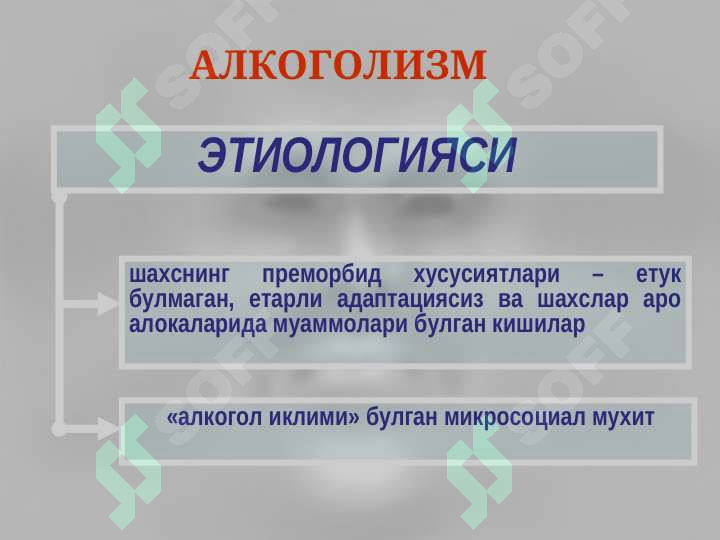 Preview 7
