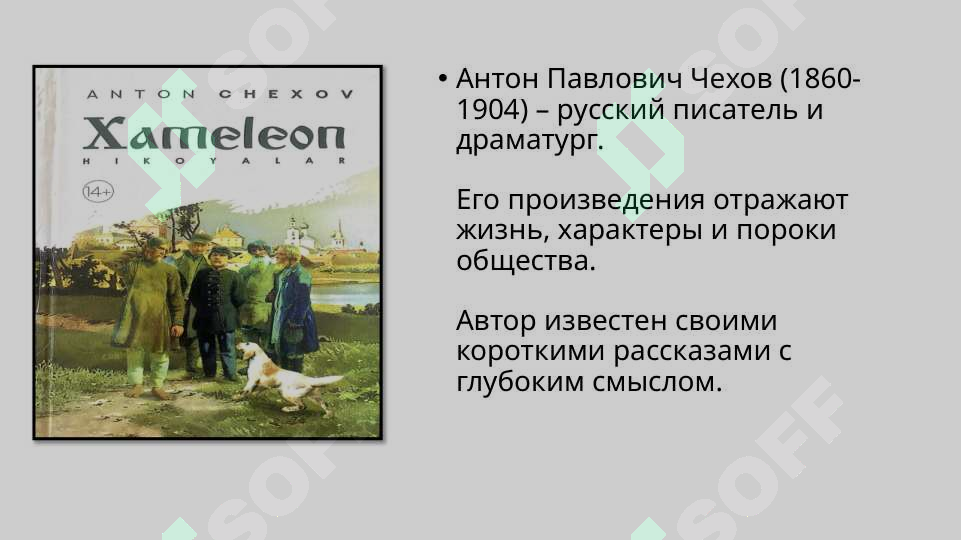 Preview 3