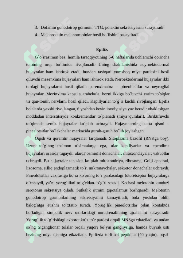 Preview 8