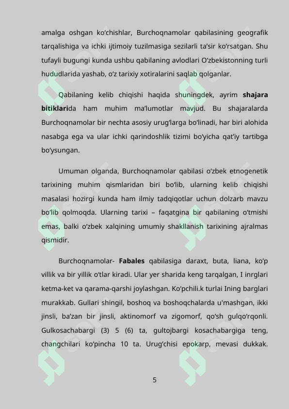 Preview 5