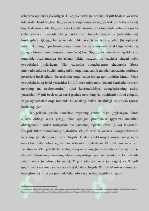 Preview 7