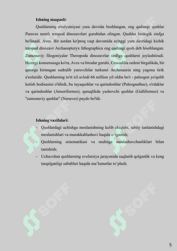 Preview 5