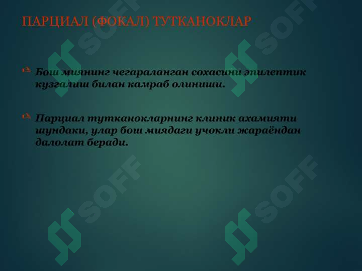 Preview 5