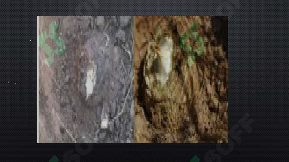 Preview 4