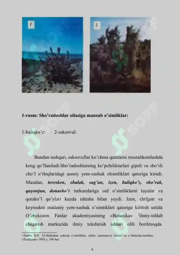 Preview 8