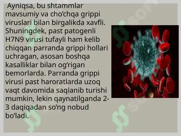 Preview 6