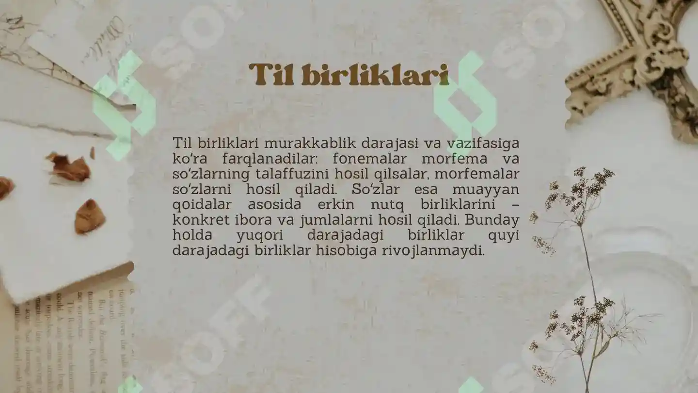 Preview 5