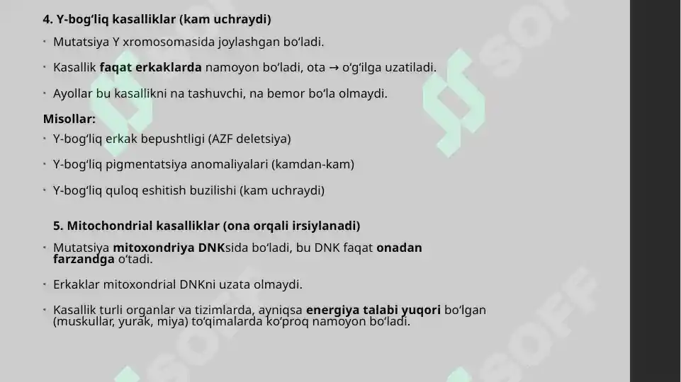 Preview 7