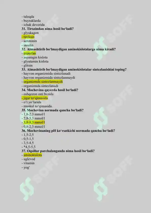 Preview 5