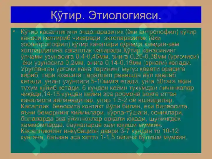 Preview 4