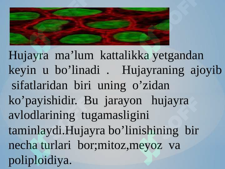 Preview 6