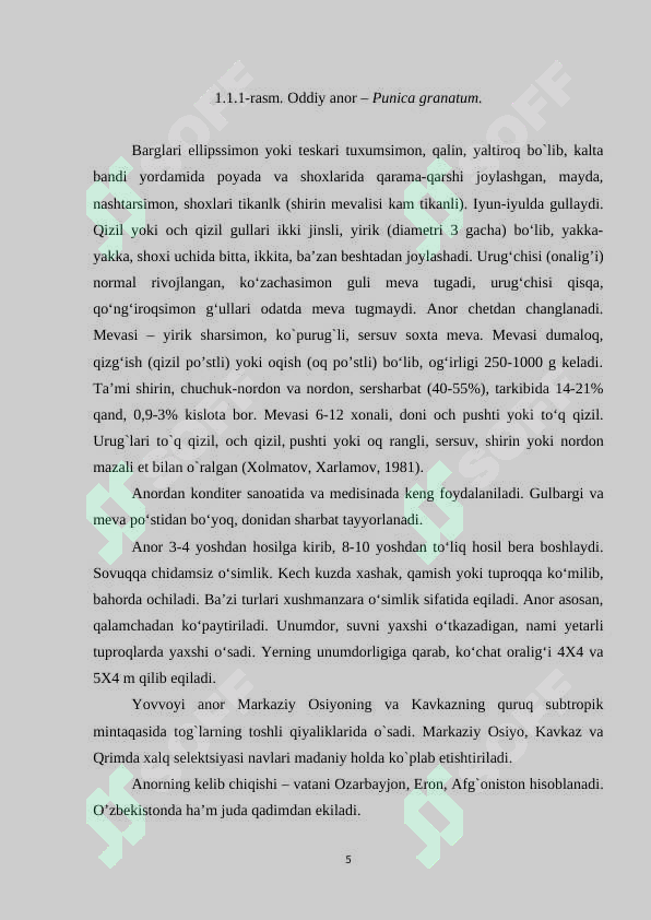 Preview 5