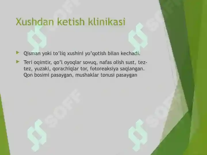 Preview 8