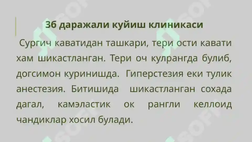 Preview 8