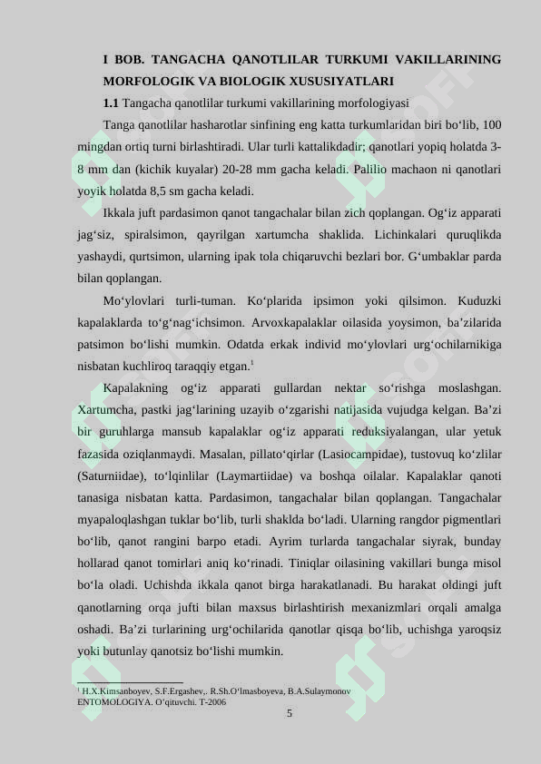 Preview 5