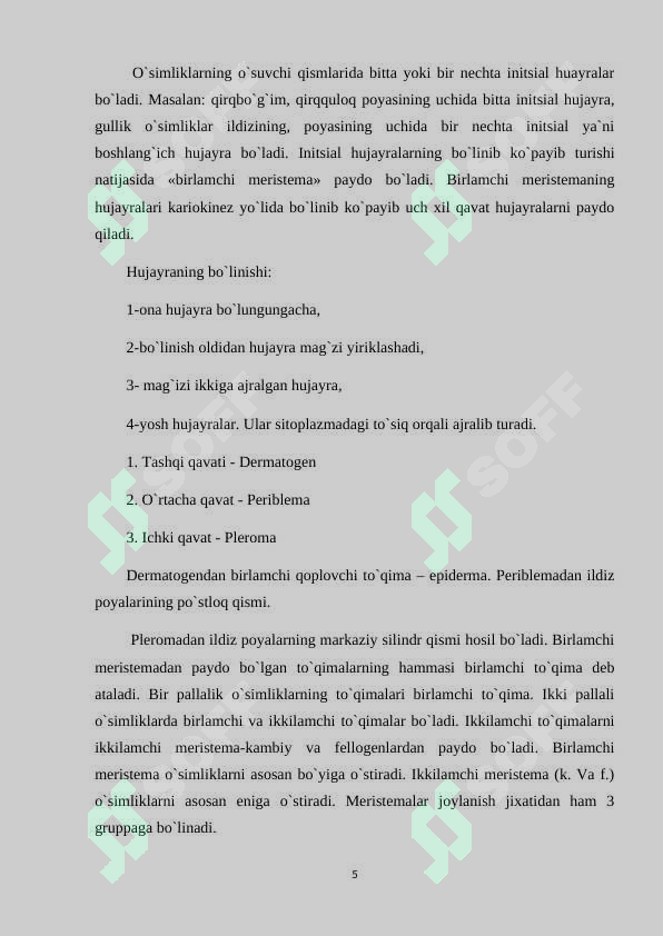 Preview 5
