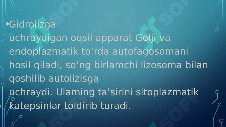 Preview 3