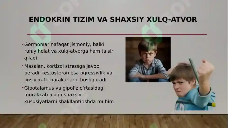 Preview 6