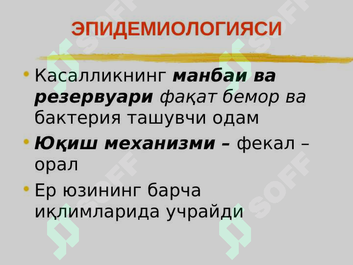 Preview 7